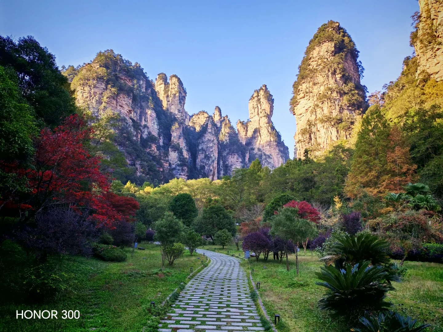 張家界峽谷棧道與群峰
